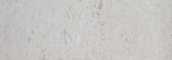 16x24 SHELL STONE Premium-SELECT Tumbled Limestone PAVER